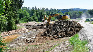 Ein St&uuml;ck Lebensraum zur&uuml;ckgeben