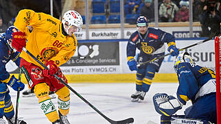 EISHOCKEY, NATIONAL LEAGUE,  HOCKEY SUR GLACE, SAISON 2025/26, QUALIFIKATION, SCL TIGERS, HC DAVOS