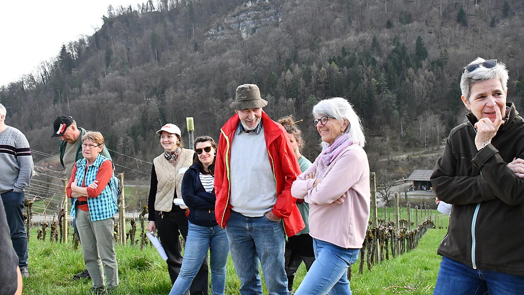 Forschung und Praxis