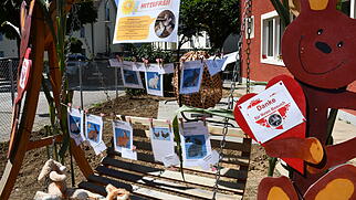 Kleintierschau