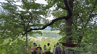Endingen/Rekingen Naturfreunde Musital