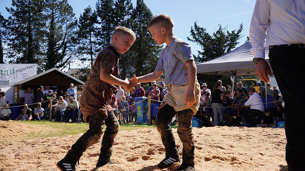Schwinget im Zurzibiet