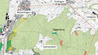 Schweizermeisterschaft im Langdistanz-OL auf dem Siggenberg geplant