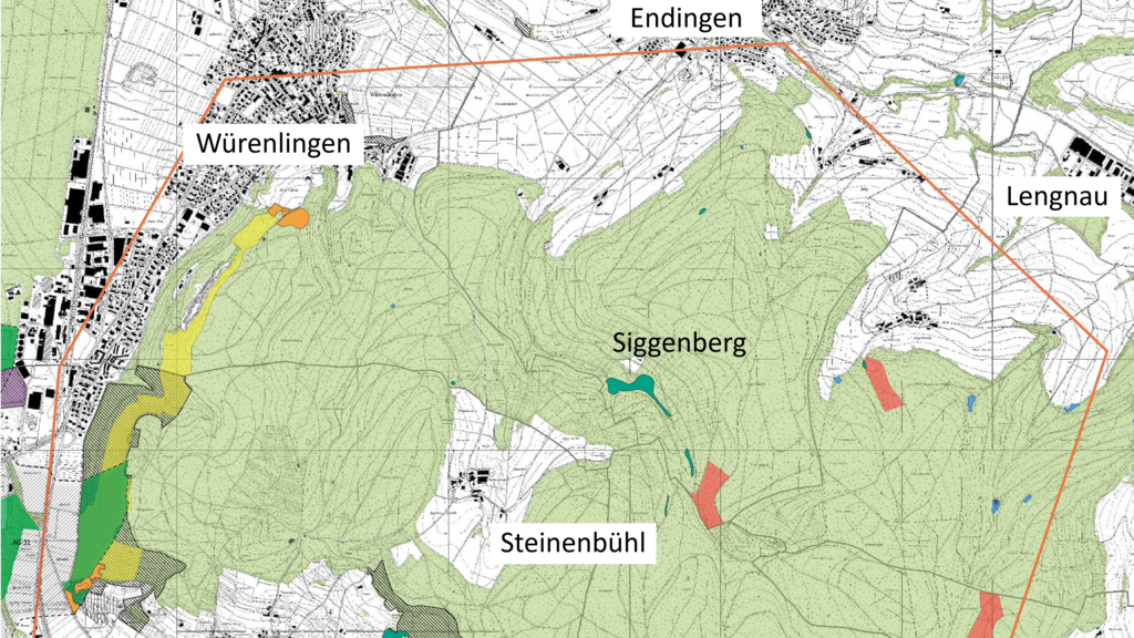 Schweizermeisterschaft im Langdistanz-OL auf dem Siggenberg geplant