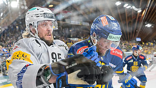 , EISHOCKEY, NATIONAL LEAGUE, MEISTERSCHAFT, SAISON 2025/26, PLAYOFF, FINAL, FINALE, SPIEL 5, HC DAVOS, HCD, HC FRIBOURG-GOTTERON, HCFG,