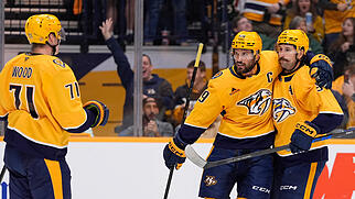 Wild Predators Hockey