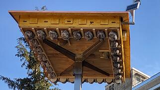 Schwalbenturm D&ouml;ttingen M&uuml;ligasse