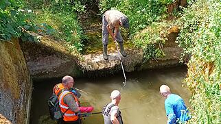 Forellen Rettung Guntenbach