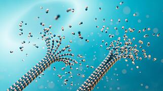 Villigen PSI Micortubuli