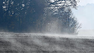 D&ouml;ttingen FdT Bodennebel