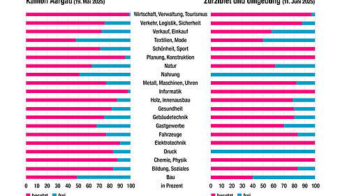 Zu wenig Lernende in der Berufsgruppe Bau