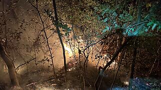 M&ouml;riken Waldbrand