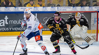 , SPORT, EISHOCKEY, NATIONAL LEAGUE, MEISTERSCHAFT, SAISON 2026/27, HCA, ZSC,