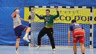 Endingen/Baden NLB Handball M&ouml;hlin Unentschieden