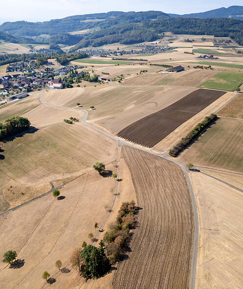 Trockenheit Landwirtschaft