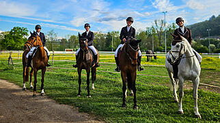 Stallturnier Dressur