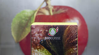 Biobetrieb Rückgang Schweiz