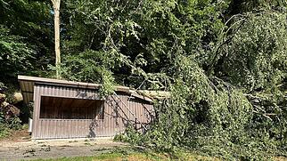 Sturmschaden Villigen