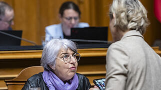 Session Beratung zu Chip-Pflicht f&uuml;r Katzen