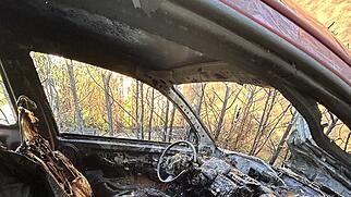 Endingen Brand Thujahecke und Auto