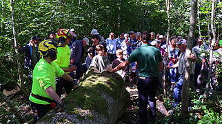 Waldumgang Endingen