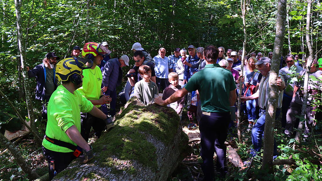 Waldumgang Endingen