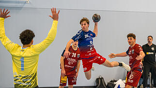 HSG Baden-Endingen Thomas Bieri