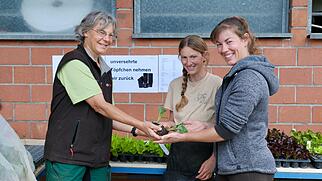 Setzlingsmarkt Rebekka Herzog Hottwil