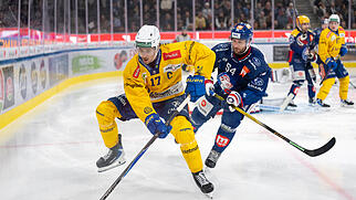 EISHOCKEY, NATIONAL LEAGUE, MEISTERSCHAFT, SAISON 2026/27, ZSC, ZSC LIONS, HCD
