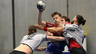 Endingen Handball, Nationalilga B