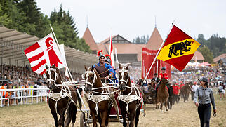 PFERD, PFERDE, PFERDESCHAU, PFERDEMARKT, MARCHE CONCOURS,