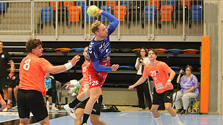 Handball NLB Baden-Endingen