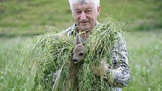 Aus der deutschen Nachbarschaft