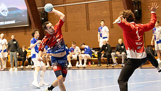 Handball NLB Baden-Endingen