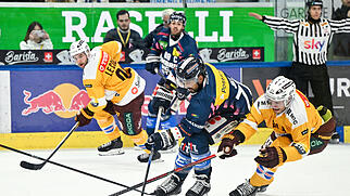 EISHOCKEY, NATIONAL LEAGUE, MEISTERSCHAFT, QUALIFIKATION, SAISON 2026/27, HCAP, AMBRI PIOTTA, GENEVE-SERVETTE, GENF-SERVETTE, SERVETTE, GSHC