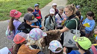 Primarschule Endingen BirdLife
