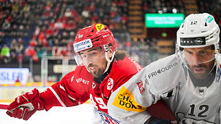 , EISHOCKEY, NATIONAL LEAGUE, MEISTERSCHAFT, PLAYOFF, PLAYOFFS, SPIEL 4, VIERTELFINAL, SAISON 2025/26, HC RAPPERSWIL JONA, RAPPI, SCRJ, HC FRIBOURG-GOTTERON, HCFG,