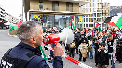 Wallis demo Pal&auml;stina